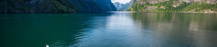 День 5 Берген–Гудванген–Флом