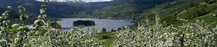 День 5 Согнефьорд – Хардангерфьорд - Берген, ок. 270 км