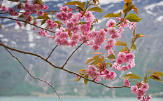 Осло–Эйдфьорд - Изображение 2